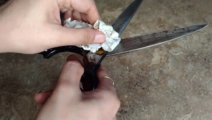 Add a small amount of oil to the scissor blades to further smooth them. Wipe off any excess oil with a tissue.