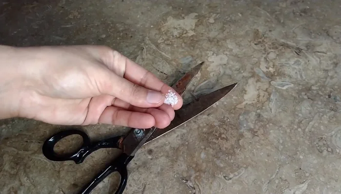 Continue rubbing the seasoning onto the edges of the blades until clean.