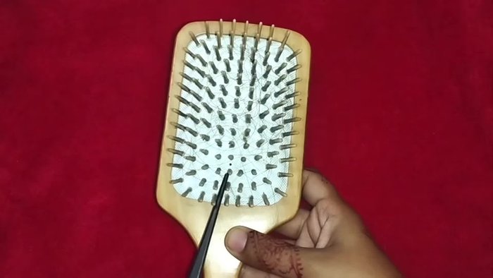 Remove loose hair and debris: