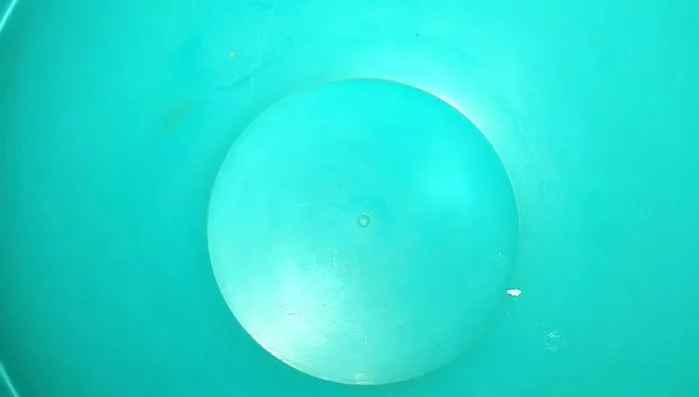 Prepare cleaning solution: Mix water, shampoo, vinegar, and optionally Chitra in a bowl.