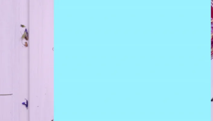 Gently wipe with a clean cloth.