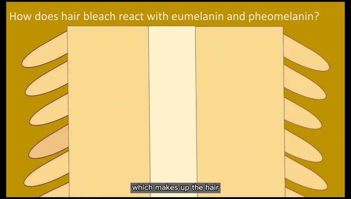 Result: Only carotene remains, resulting in pale yellow bleached hair.