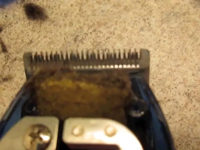 Tighten the screws until the blades are snug but still vibrating.
