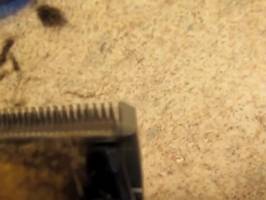 Fix a Jammed Canary Hair Clipper: Quick Troubleshooting Guide