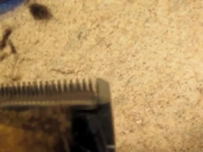 Tighten the screws until the blades are snug but still vibrating.