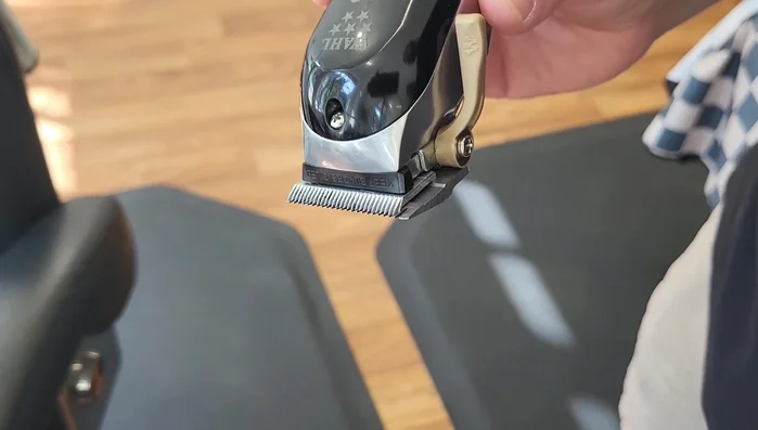 Apply a small amount of oil to the top of the blades where they meet, and to the two bottom back bits.