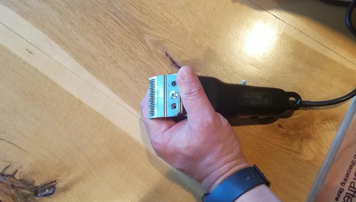 Identify and retain any spacer washers.