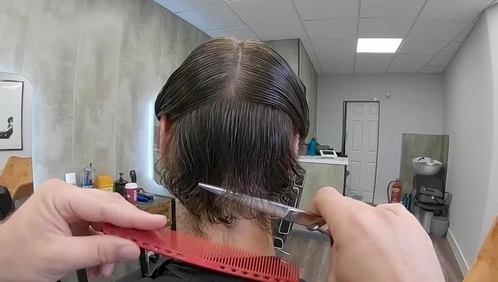 Repeat this process, creating 5 panels (middle, two sides, and two near the ears).