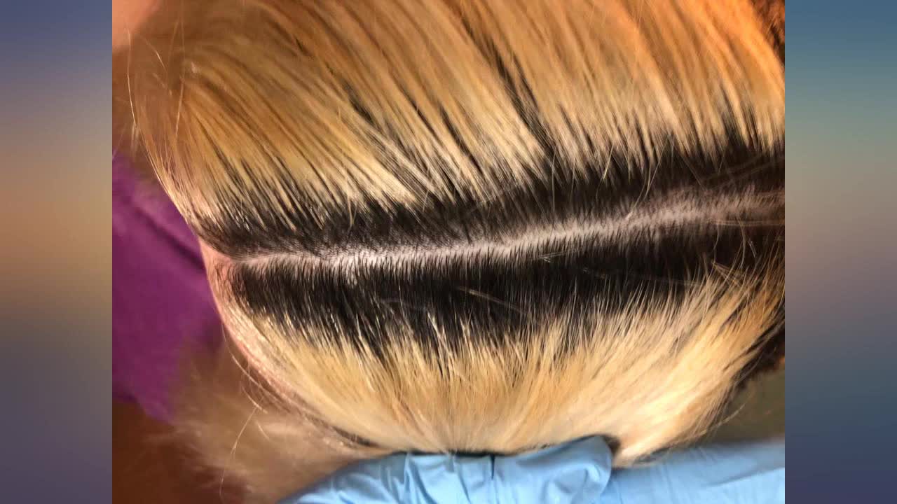 Blonde hair lightening results, before and after