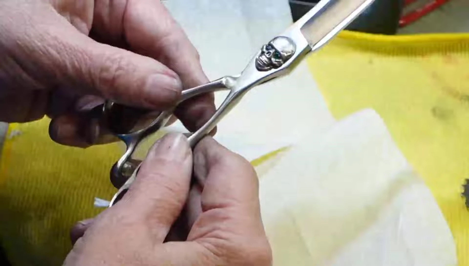 Sharpened shears reassembled with skull detail