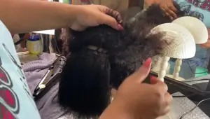 KIPOZI Titanium Flat Iron Review: Affordable Straightening Power?