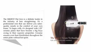 Best Steam Flat Irons for Natural Hair in 2021: A Detailed Review