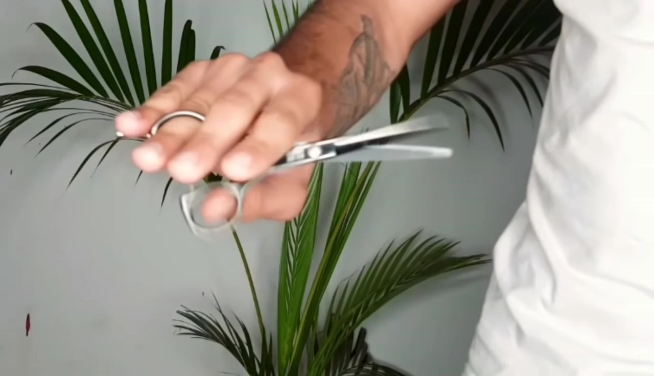 One-handed scissor cutting techniques