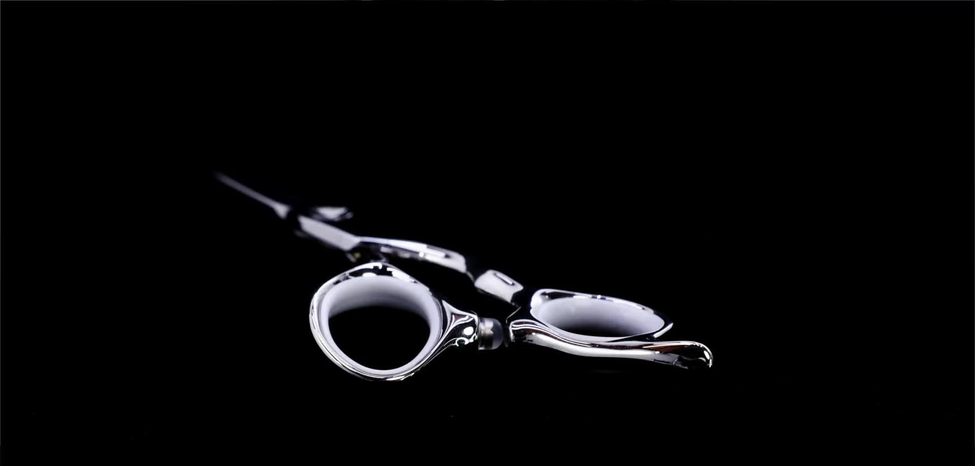 Close-up of the scissor blades highlighting the Japanese VG10 steel.