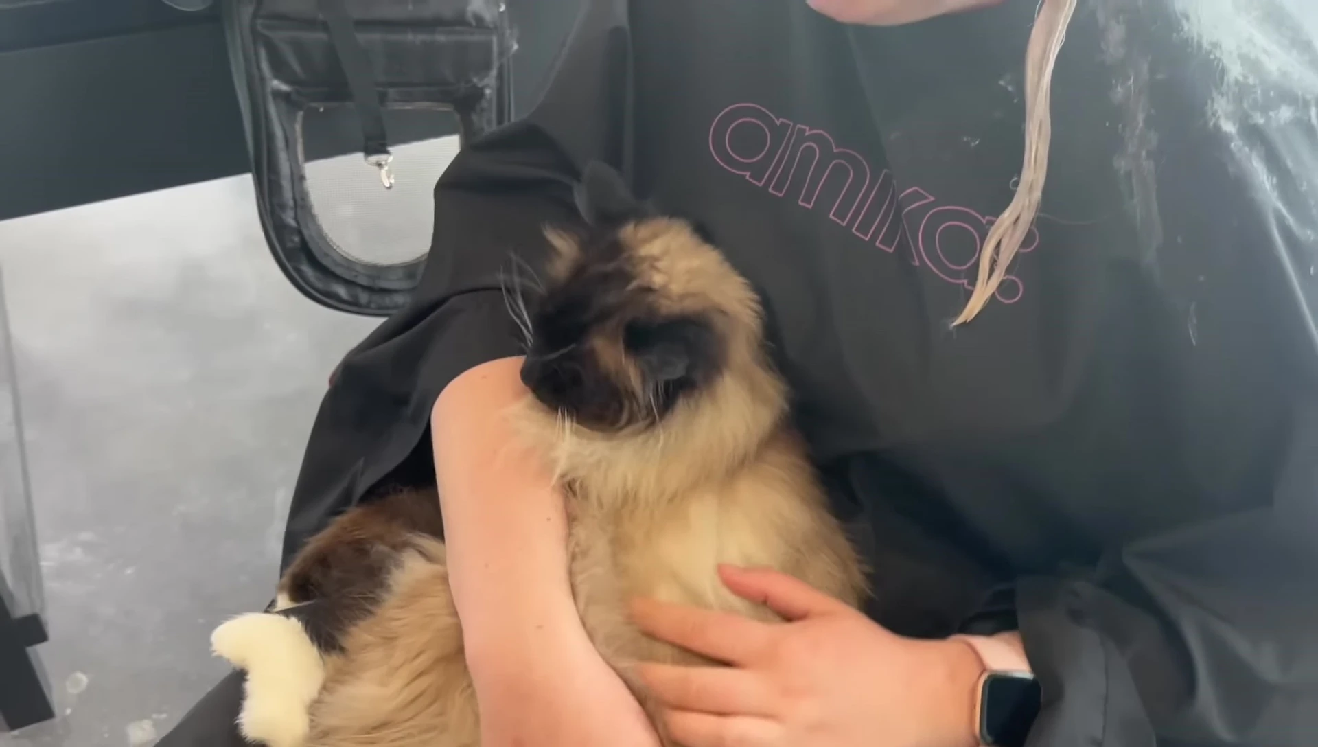 The client and her cat in the salon.