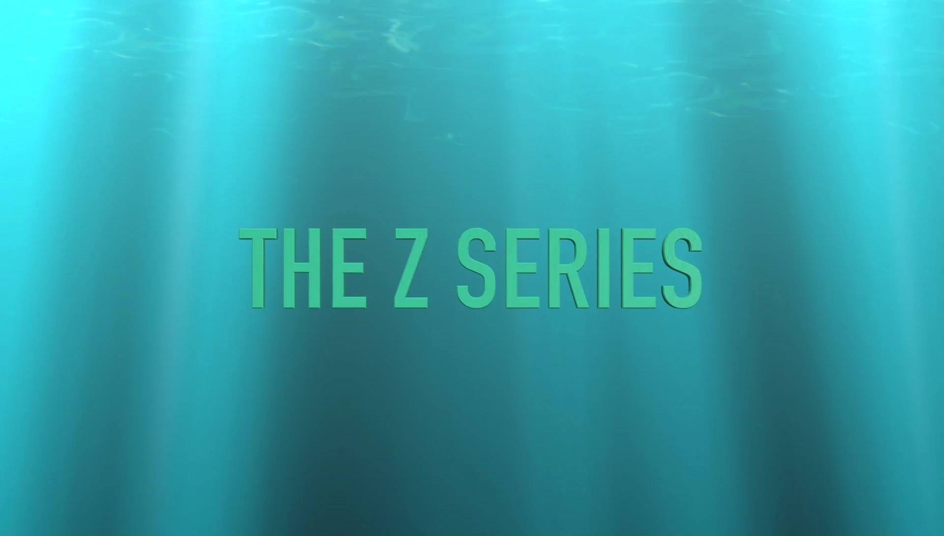 The Ibiza Z series brushes with their distinctive concave barrels.