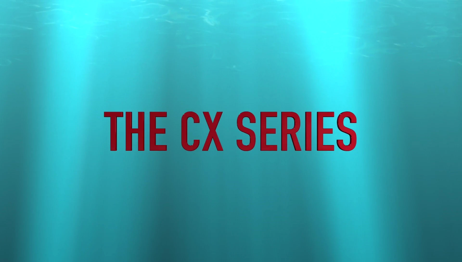 Close-up of the Ibiza CX series brushes.