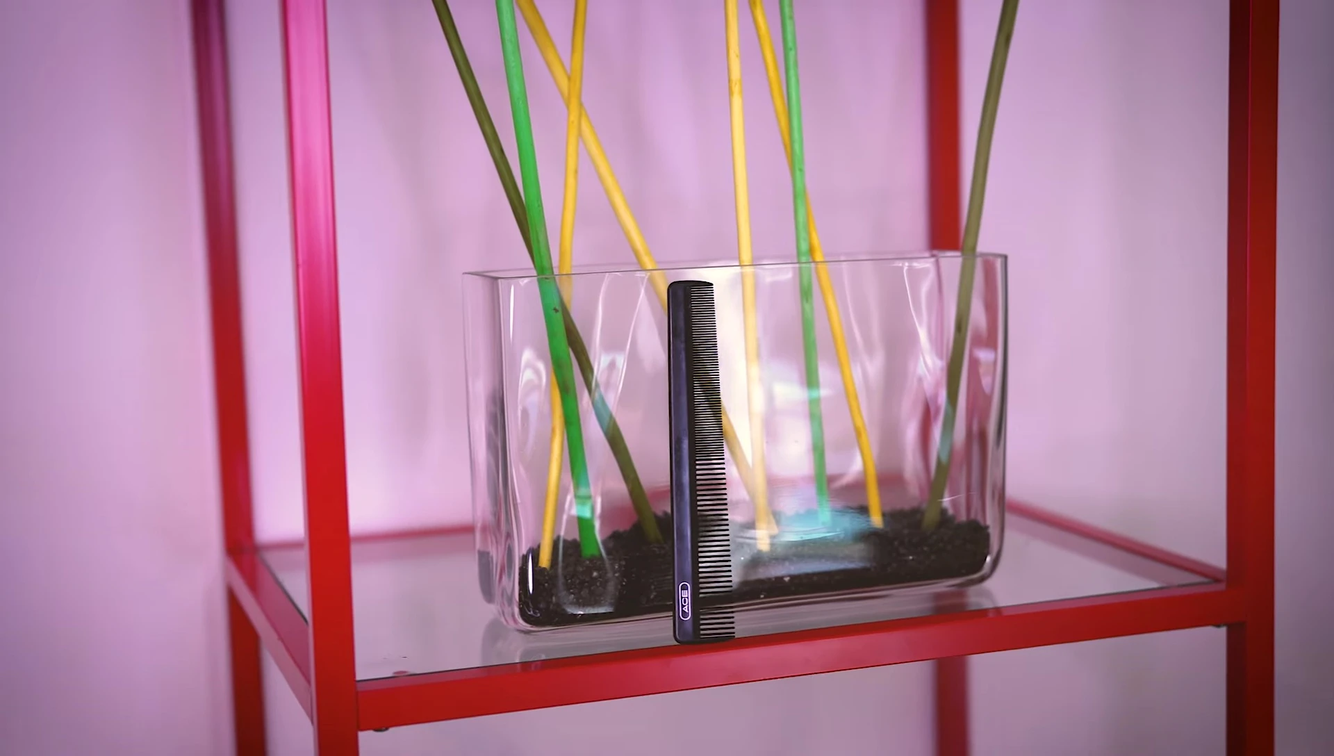 The comb being shown.