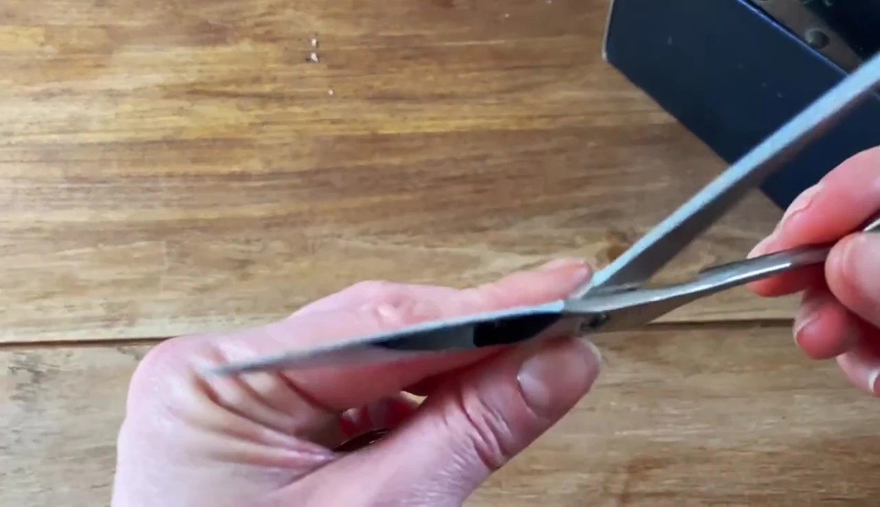The scissors displayed, clean and free from rust